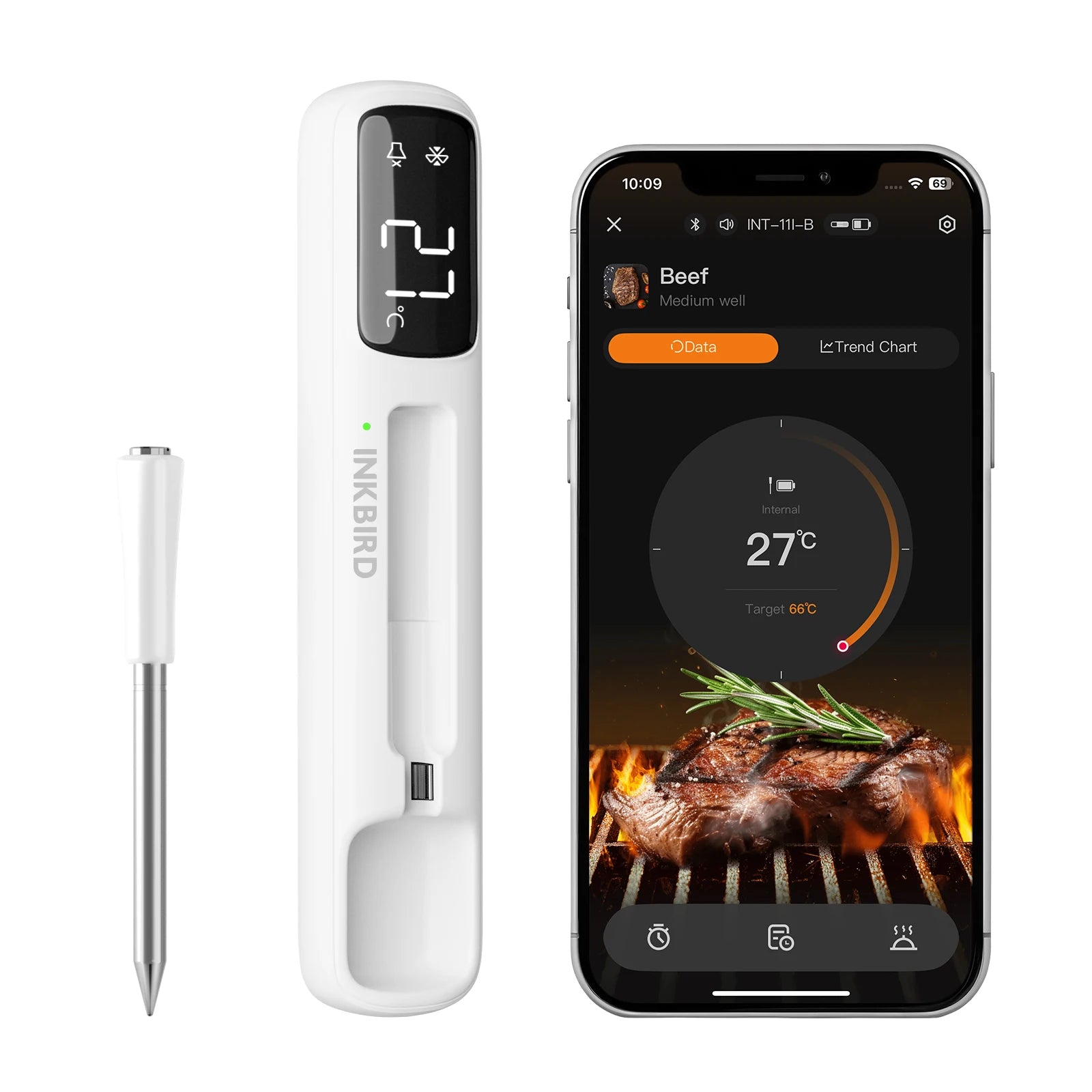 Mini Wireless Meat Thermometer,
