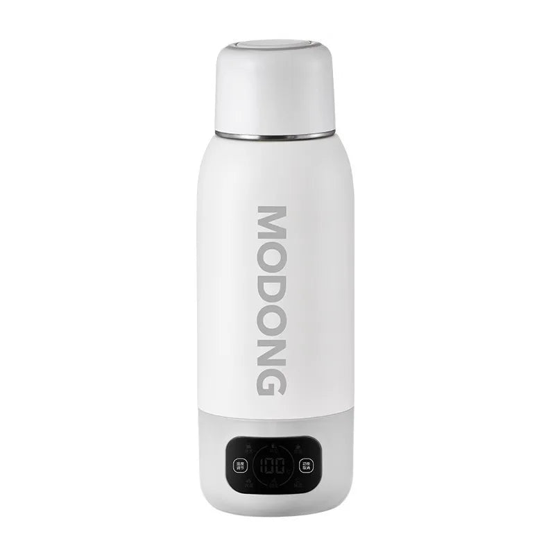Portable Electric Kettle 100-240V 600ml